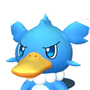 Blueplatypus